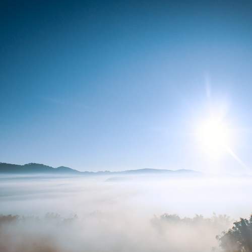 Photo #6112645