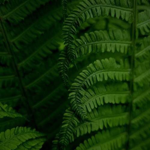 Photo #6112691