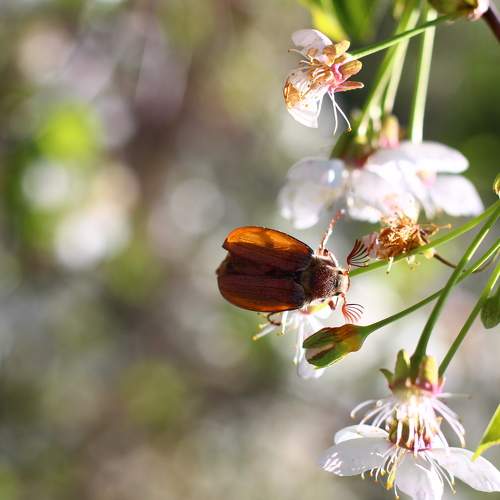 Photo #6112927