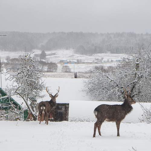 Photo #6113012
