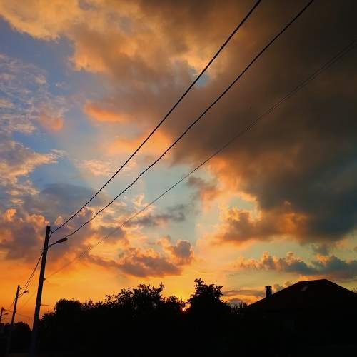 Photo #6113030