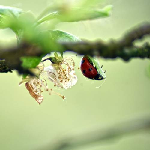 Photo #6113105