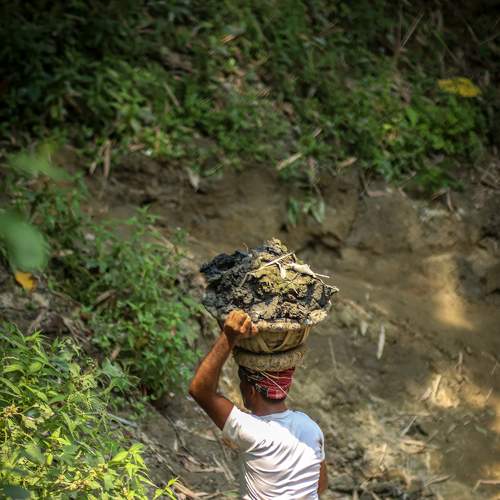 Photo #6113165