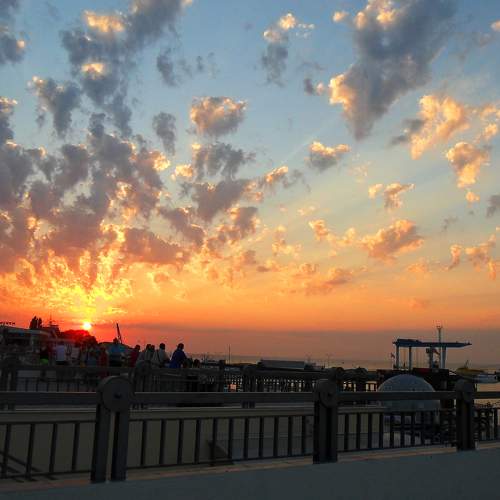 Photo #6113558