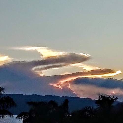 Photo #6113584