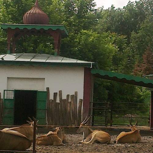 Photo #6113696
