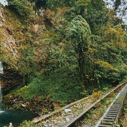 Photo #6113804