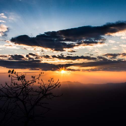 Photo #6113915