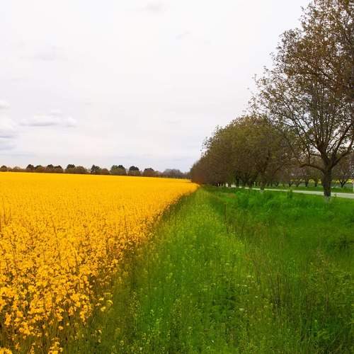 Photo #6114634