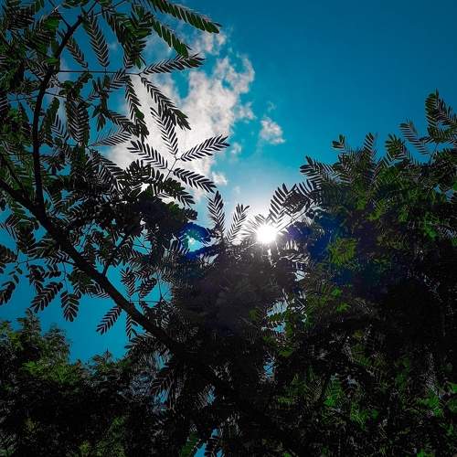 Photo #6114951