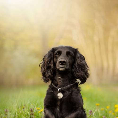 Photo #6115173