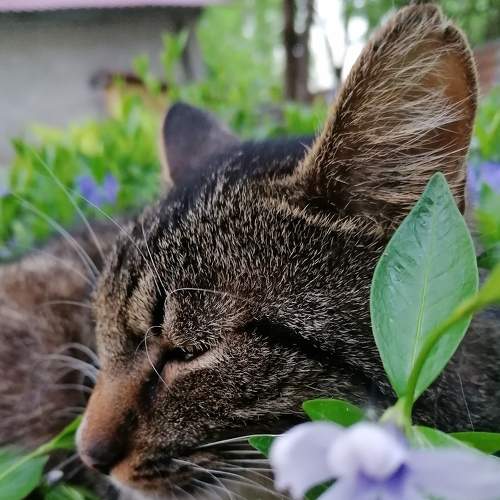 Photo #6115209