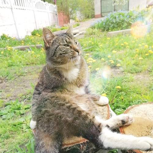 Photo #6115210