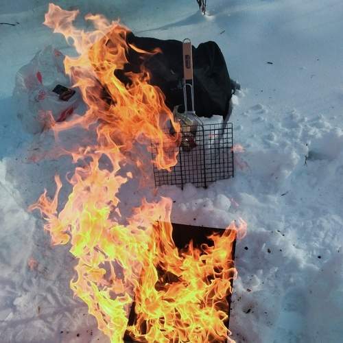 Photo #6115273
