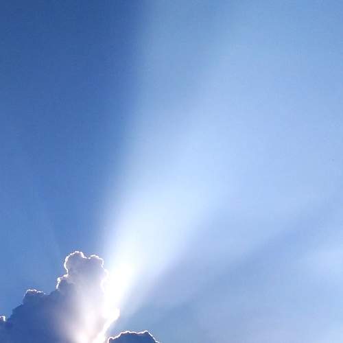 Photo #6115380