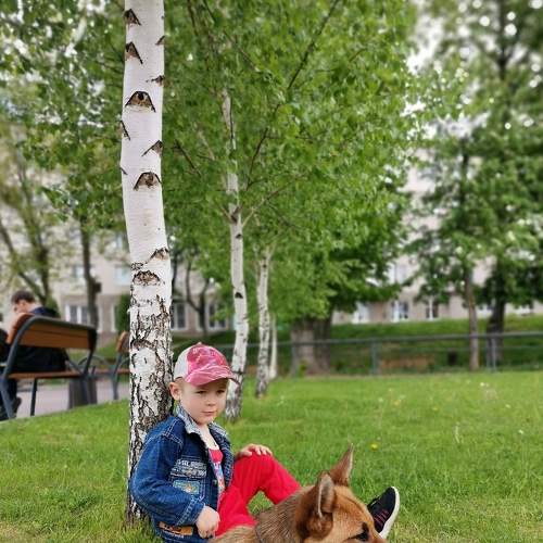 Photo #6115405