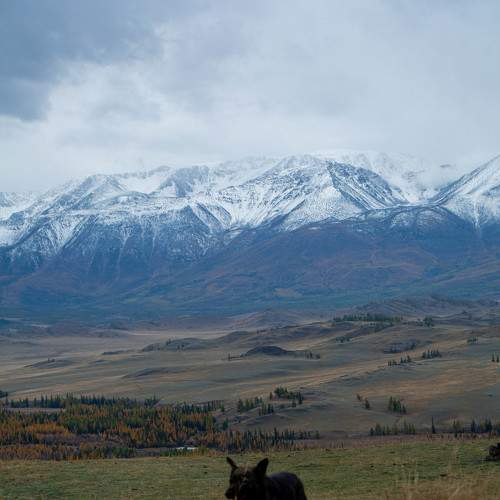 Photo #6115681