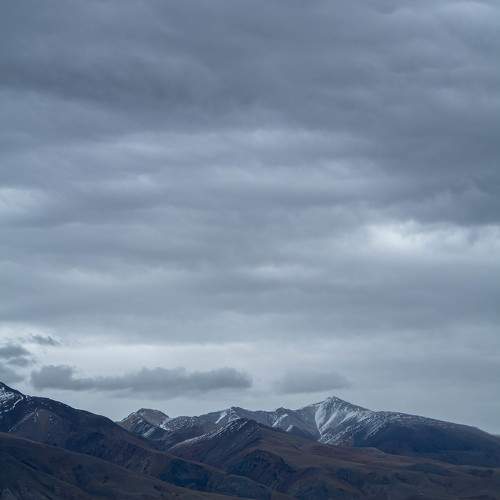 Photo #6115682
