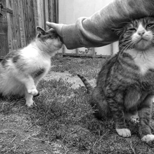 Photo #6115697