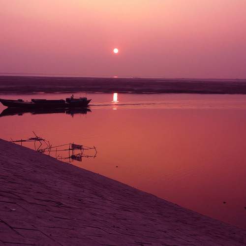 Photo #6115721