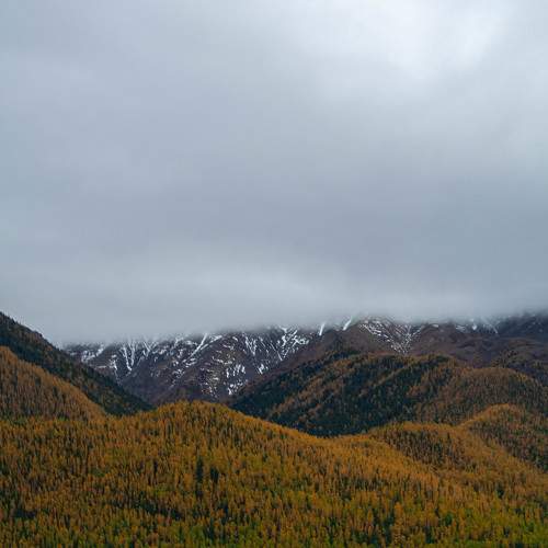 Photo #6115732
