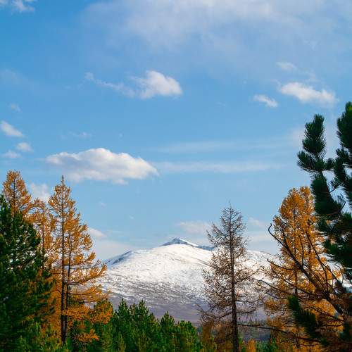 Photo #6115736