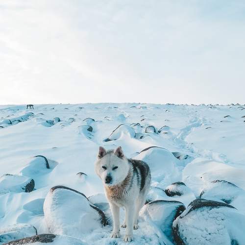 Photo #6115983