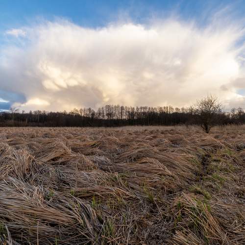 Snowstorm cloud