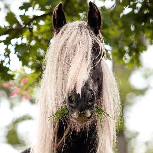Photo #6116258