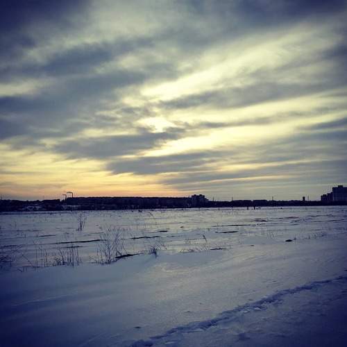 Photo #6116383