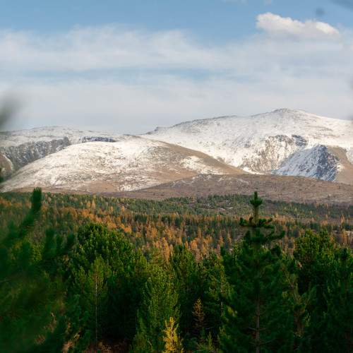 Photo #6116404