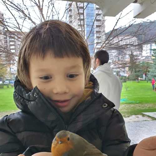 Photo #6116439