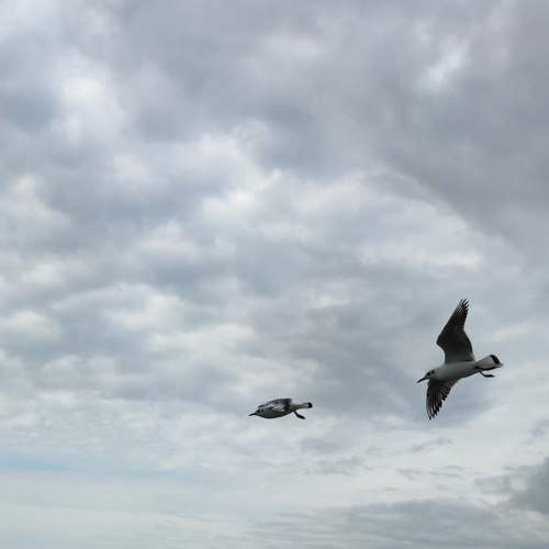 Photo #6117040