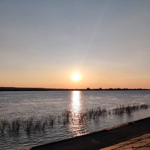 Photo #6117047