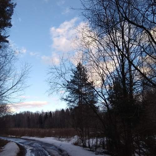 Photo #6117149