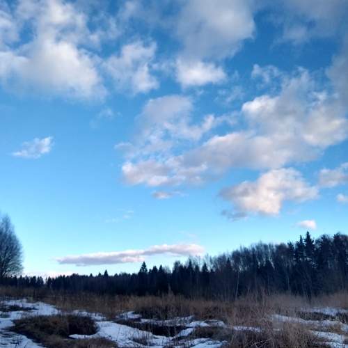 Photo #6117156