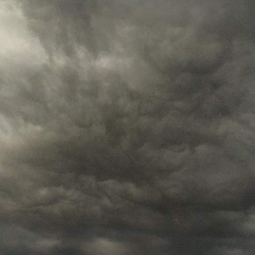 Photo #6117187