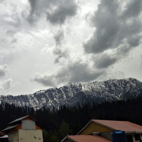 Photo #6117188