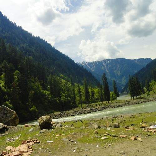 Photo #6117189