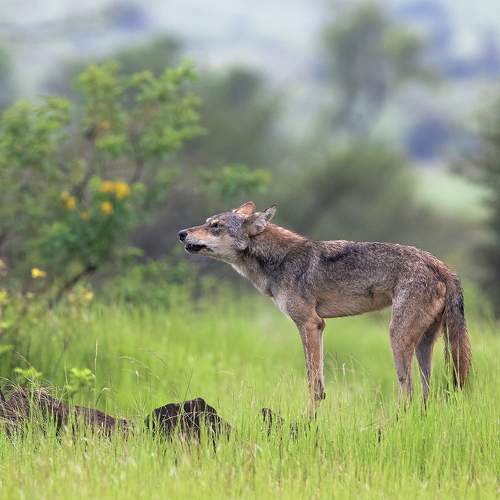 Photo #6117208
