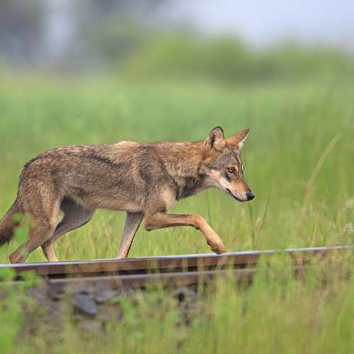 Photo #6117221