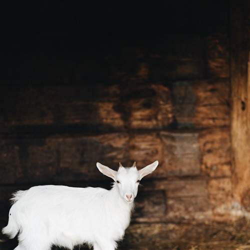 Photo #6117543