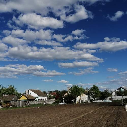 Photo #6117646