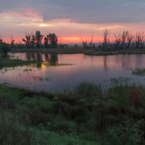 Photo #6117860