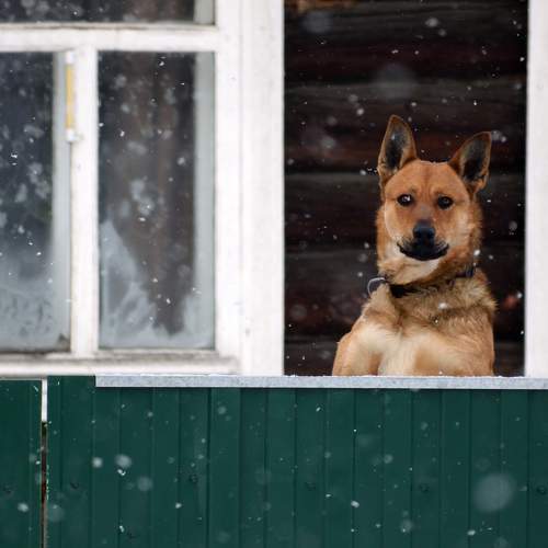 Photo #6118145