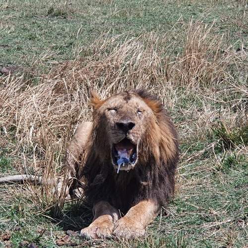 Photo #6118276