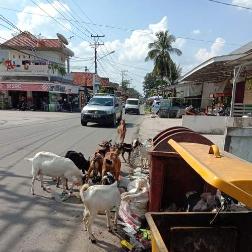 Photo #6118737