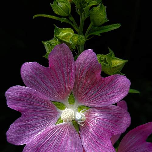 Photo #6118812