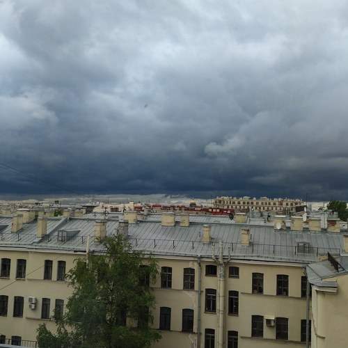 Photo #6119455