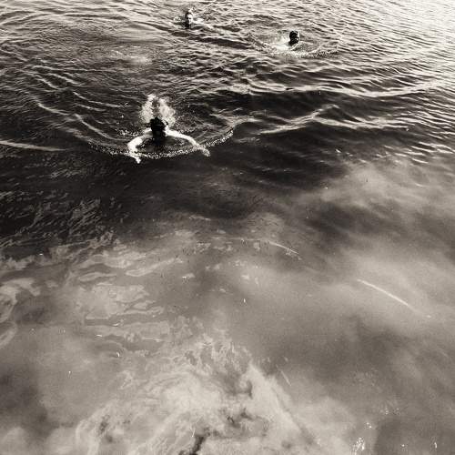 Photo #6119700